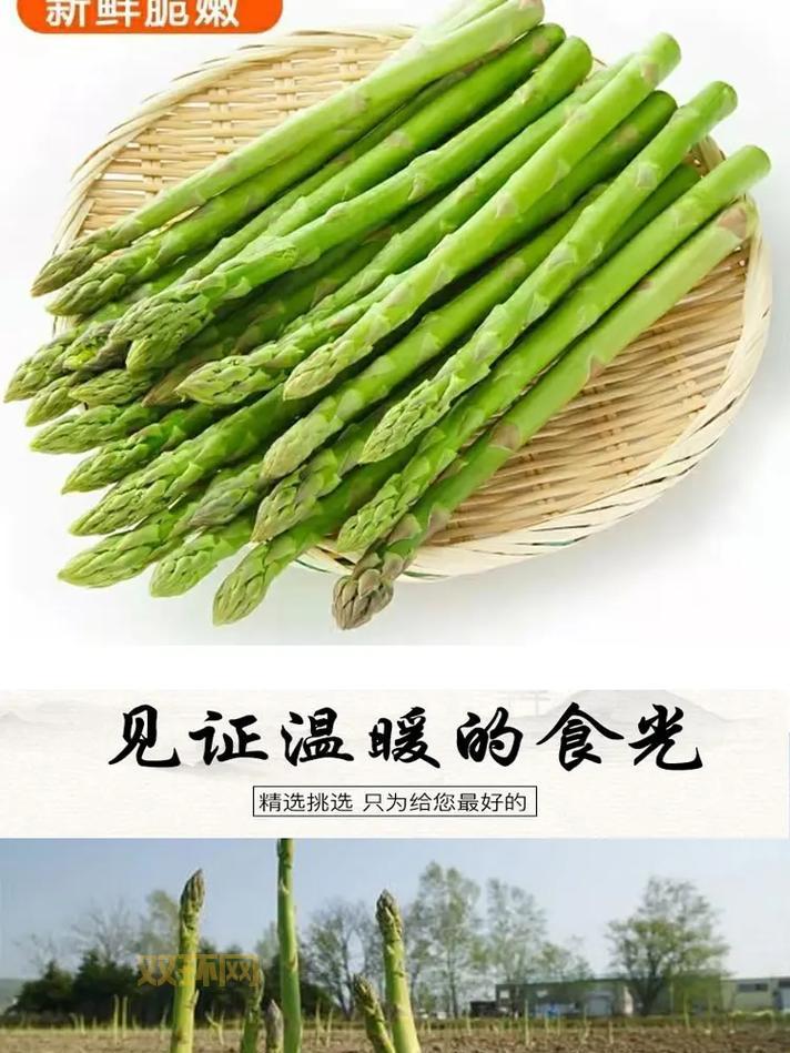 芦笋是笋吗？你可能一直都吃错了！