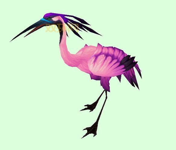 潘达利亚稀有精英：谁才是最强王者？？潘达利亚稀有精英：超详细坐标，带你轻松抓捕！