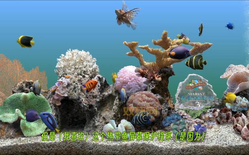 热带鱼屏保推荐？让电脑屏幕变水族箱