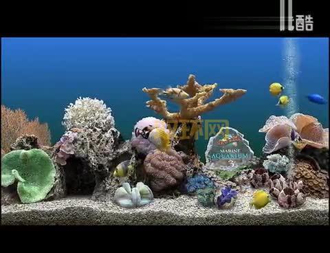 热带鱼屏保推荐？让电脑屏幕变水族箱