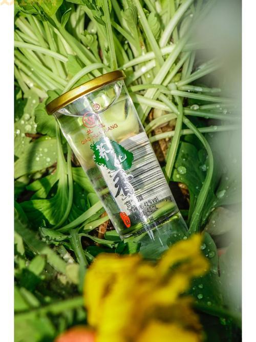 WOW矮人烈酒：酒香四溢，带你领略矮人酿酒文化