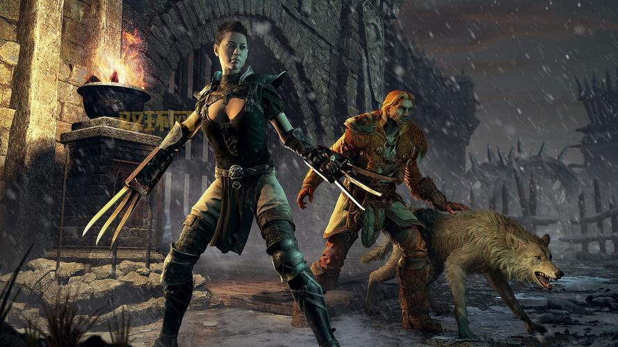 火炬之光2复制装备方法揭秘：告别爆肝刷图