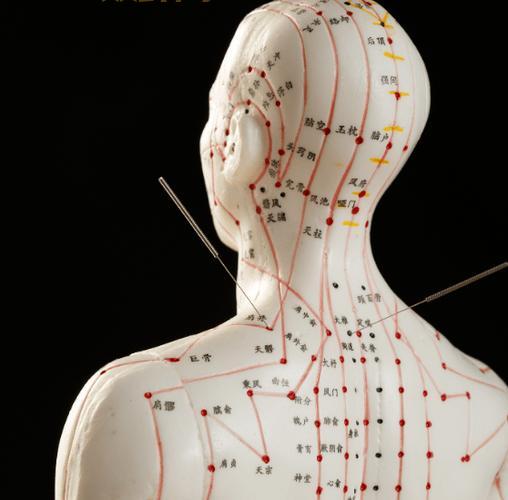 奇经八脉龙宫：海中蛟虬经脉搭配与实战技巧分享