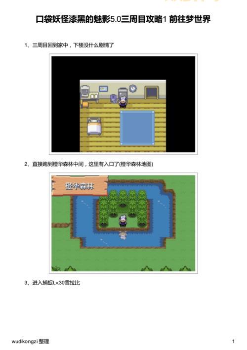 口袋妖怪漆黑的魅影5.0攻略：通关秘籍，助你轻松制霸！