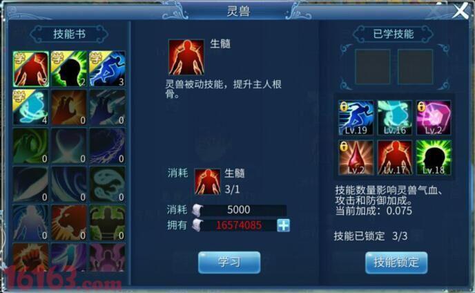 倩女幽魂灵兽成长指南：快速培养强大灵兽的技巧