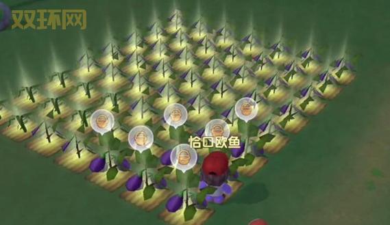 摩尔庄园萤火草获取攻略：偷菜、种植、收集全方位解析！