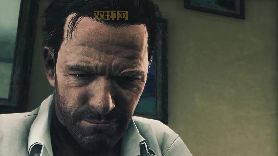 马克思佩恩3中文版下载：3DM蒹葭汉化组倾情奉献！