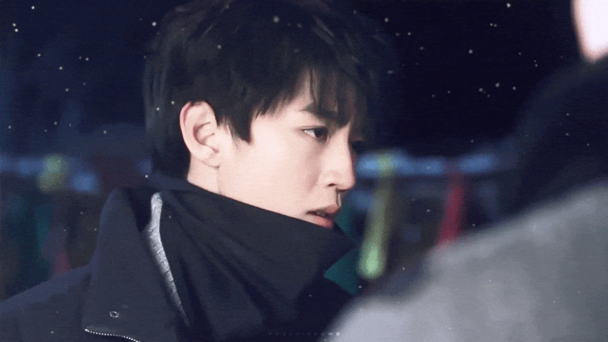 Weverse安卓下载最新版：韩流粉丝聚集地，实时获取爱豆动态