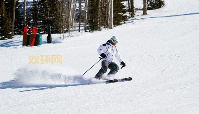 荒野猎人手机版下载：沉浸式狩猎体验，精彩无限！