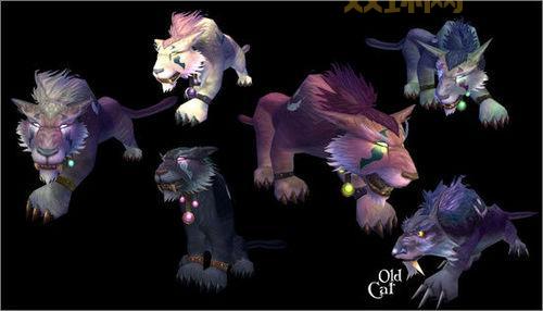 狼人德鲁伊VS暗夜德鲁伊：种族天赋大比拼！