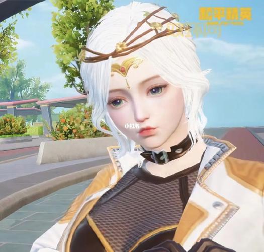 和平精英捏脸代码使用教程：轻松导入心仪角色