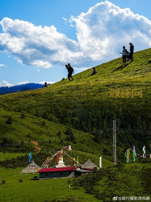 野花社区：超酷炫道具，带你领略别样精彩！