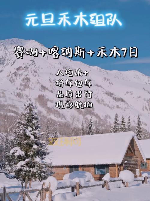 野花社区：超酷炫道具，带你领略别样精彩！