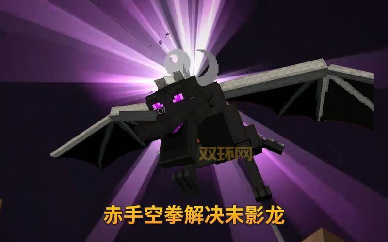 我的世界：末影龙驯服指南，教你如何成为龙骑士！