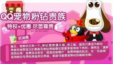 QQ粉钻有什么用？详解粉钻特权与优惠福利