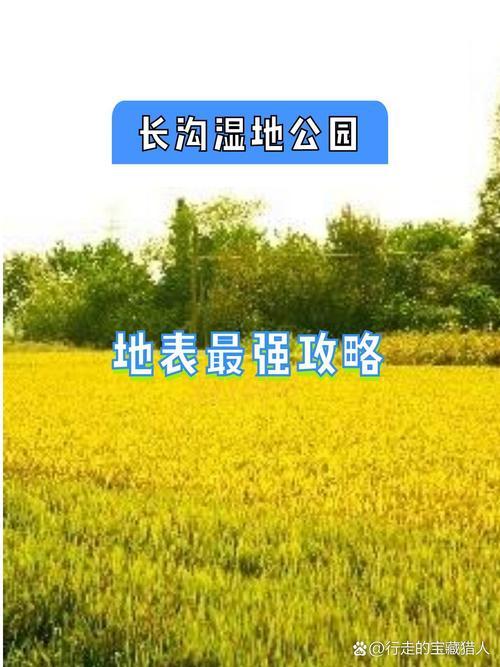 荒野兵器XF金手指使用攻略：如何轻松获得最大资源