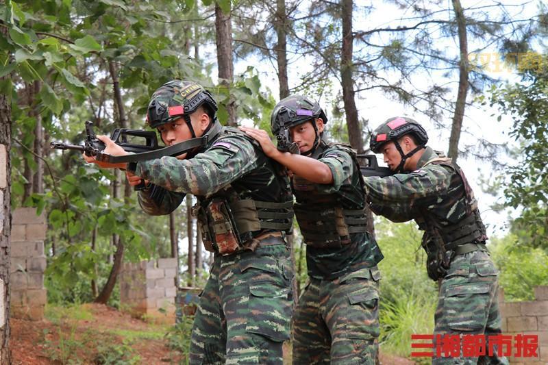 红蓝对抗实兵演练：高原复杂环境下的精准打击考验