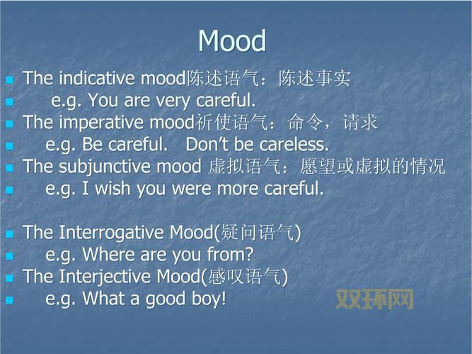 如何正确使用insist：虚拟语气与直接陈述的区别