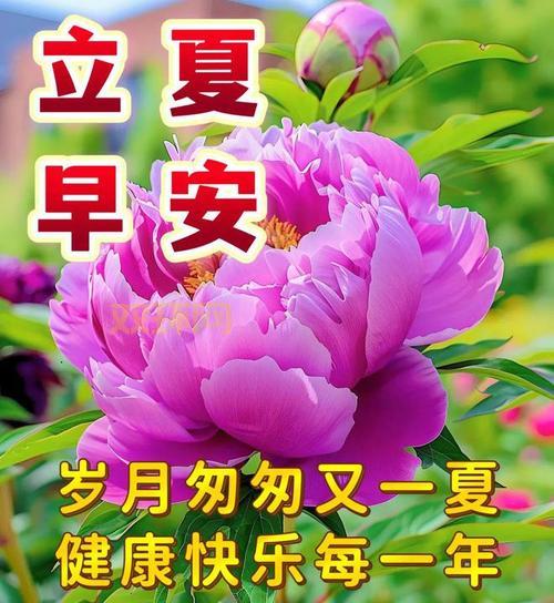 立夏美好寓意：迎接夏天的祝福与健康祈愿