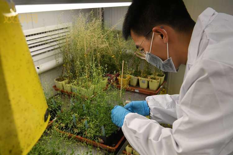 最美大学生的故事：从科研到公益，他们在奋斗