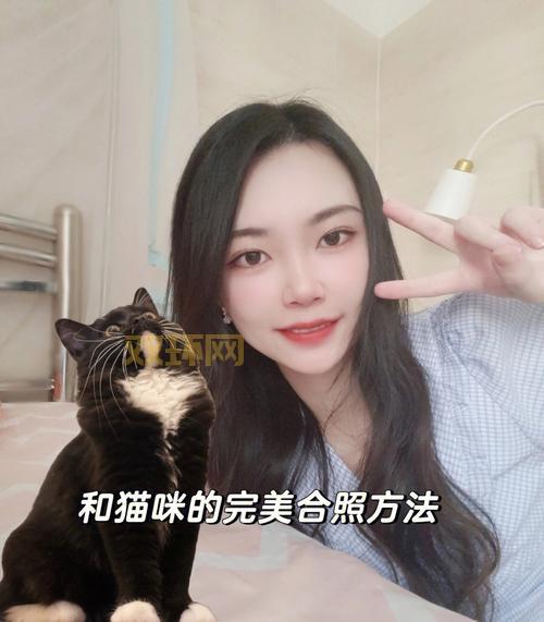 完美动物深度解析：科学视角下猫咪的魅力与完美