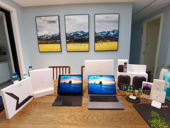 枫树浏览器是否适合你？优缺点及用户体验深度评测