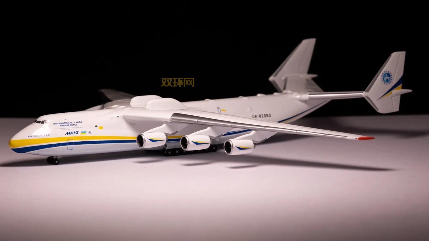 王任飞去世，母亲接手模型店铺延续儿子梦想