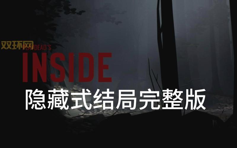Inside游戏评测：揭秘Playdead的黑暗冒险魅力