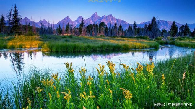 什么是静谧？带您了解“静谧”的含义与使用场景