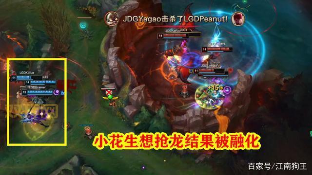 上流上单什么梗？揭秘Zoom的故事与争议