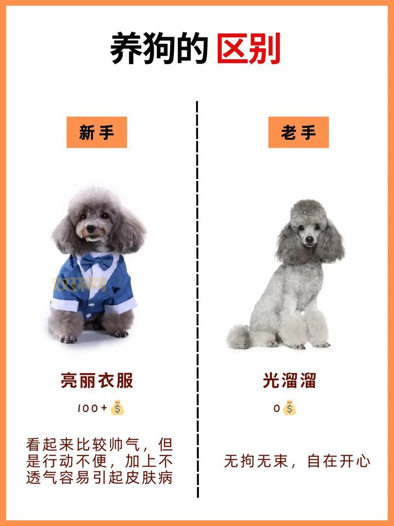 剑姬符文加点攻略，新手老手都适用的终极秘籍！