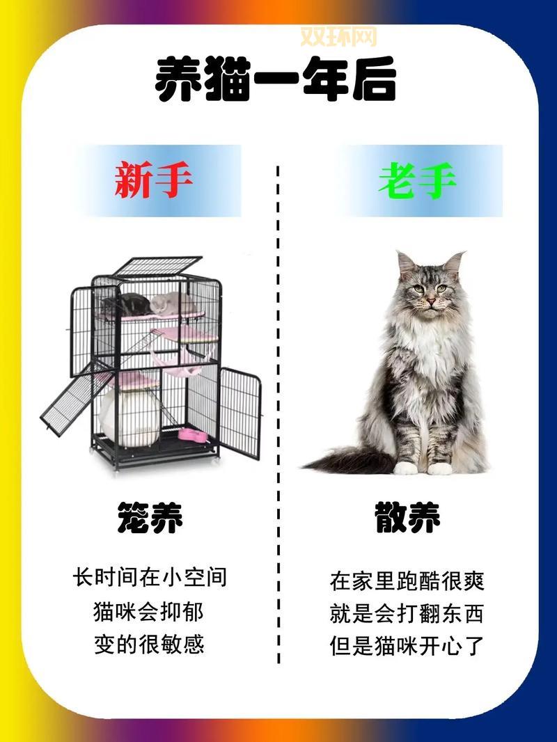 剑姬符文加点攻略，新手老手都适用的终极秘籍！