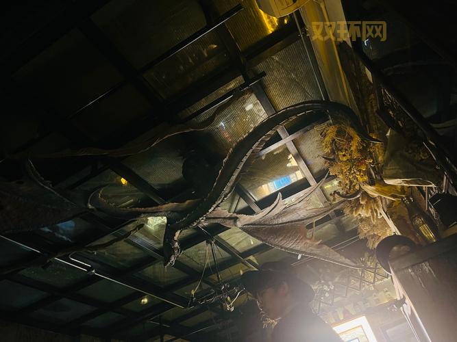 德拉诺飞行解锁全攻略：从成就到飞天魔龙一网打尽