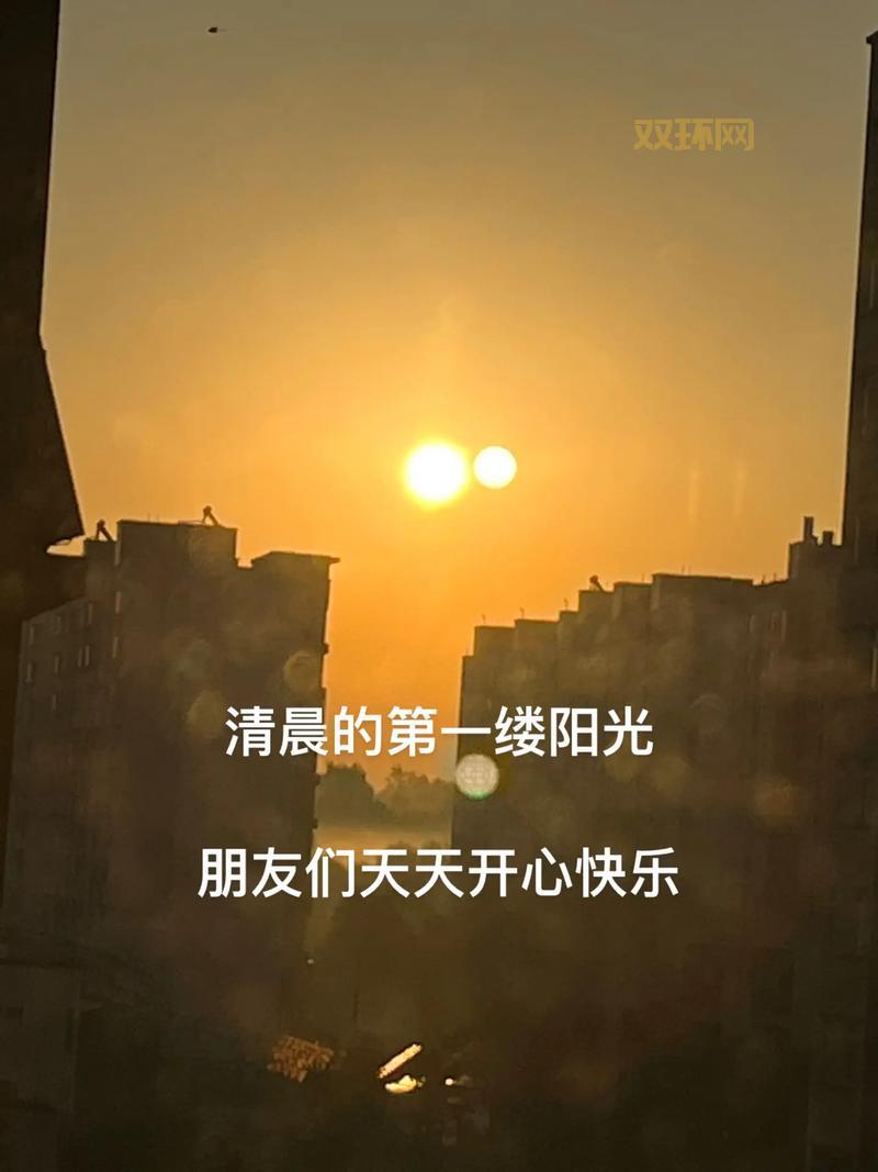 仙踪林官方网站首页：记录美好生活，开启创作之旅