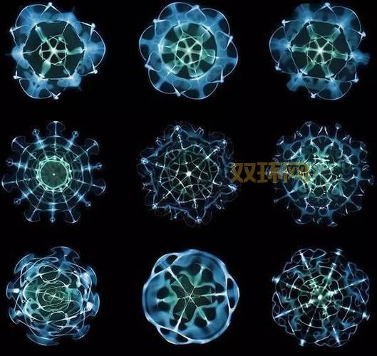 泰坦的净化太刀攻略：让输出更爆炸的秘密