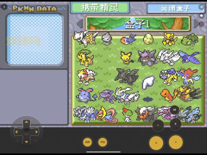 口袋妖怪黑二攻略：全道馆挑战通关技巧大揭秘