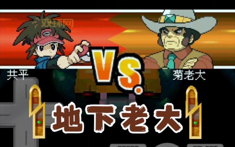 口袋妖怪黑二攻略：全道馆挑战通关技巧大揭秘