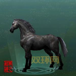 剑网3稀有马驹刷新时间汇总，让你不错过每个刷新点