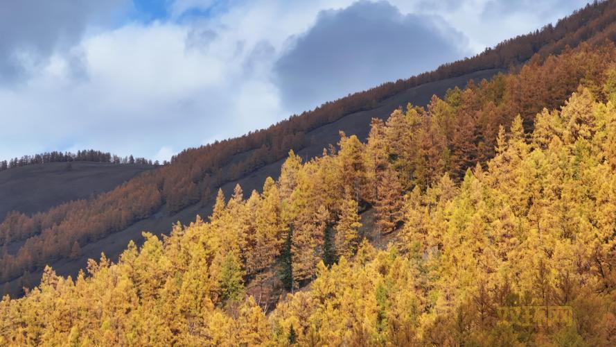 侠客风云传 杭州探索指南：最全攻略与任务技巧