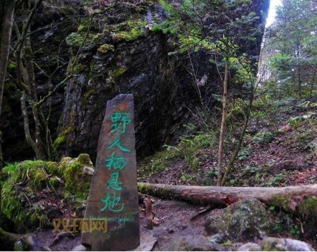 惊天动地！机甲入侵背后的秘密，你绝对想不到！