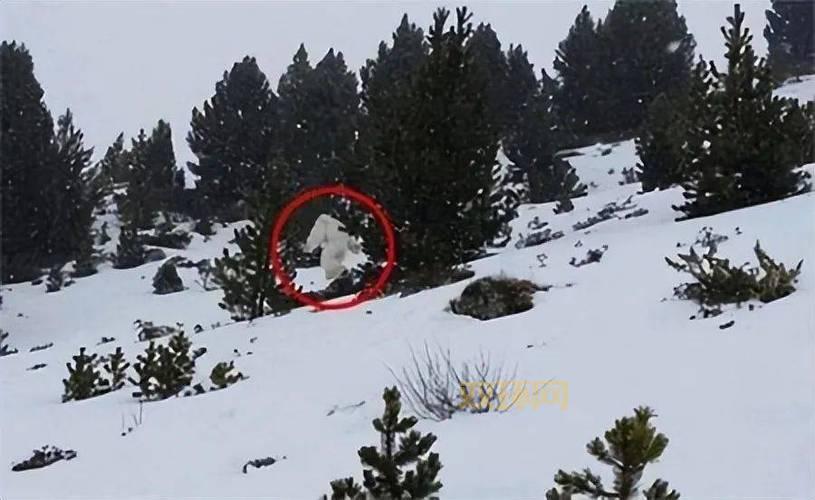 惊天动地！机甲入侵背后的秘密，你绝对想不到！