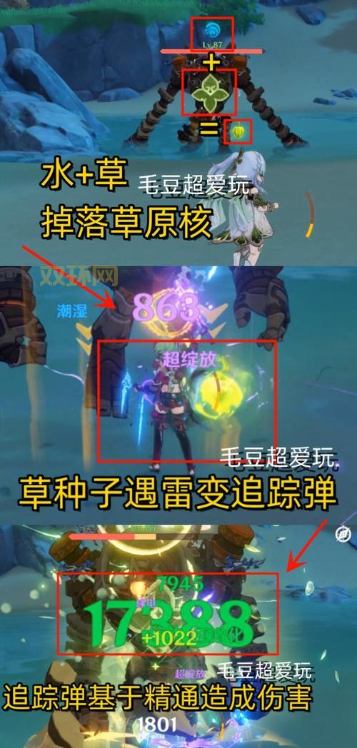 清心采集路线详解，保姆级攻略手把手教你！