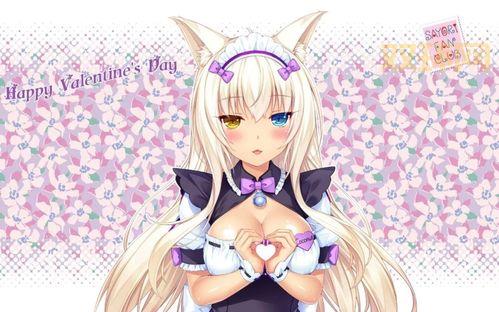 体验Nekopara Vol.3的真实猫娘养成之旅