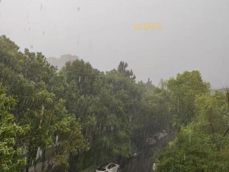 杭州闪电今日赛果出炉！速来围观最新战况！