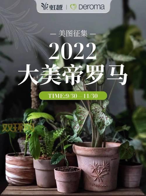还在找罗马单机加强版破解2022？最新版本已上线！