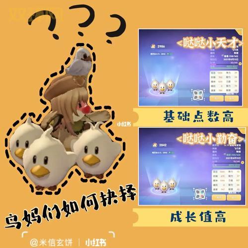 摩尔勇士新手必看：哒哒鸟培养与勇士职业进阶攻略