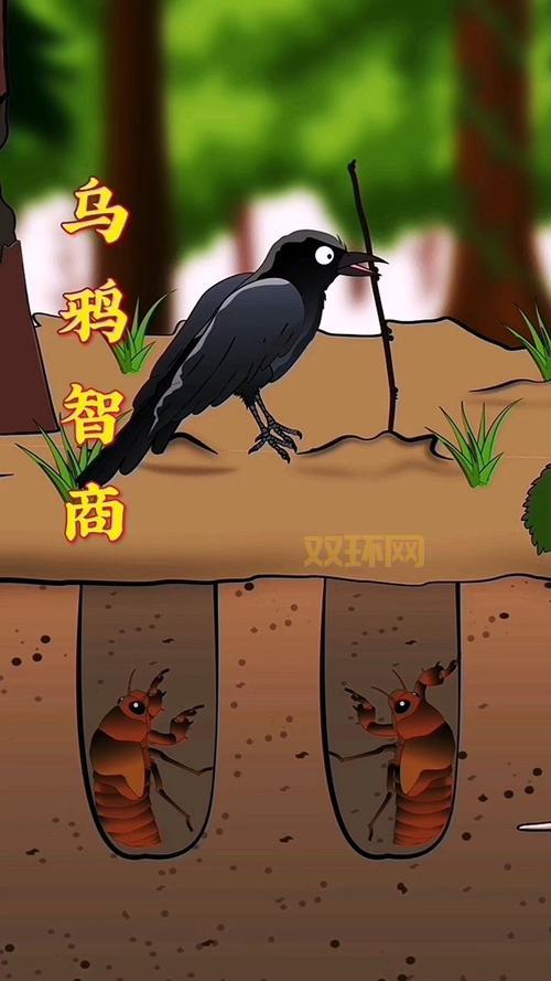 乌鸦的悲鸣：探寻恐怖鸟叫声背后的神秘含义