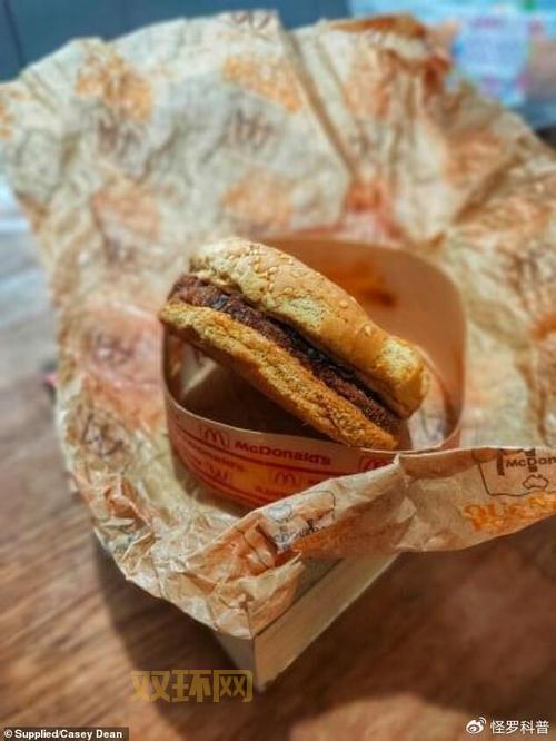 僵尸汉堡店：另类美食体验，打破传统餐饮界限！