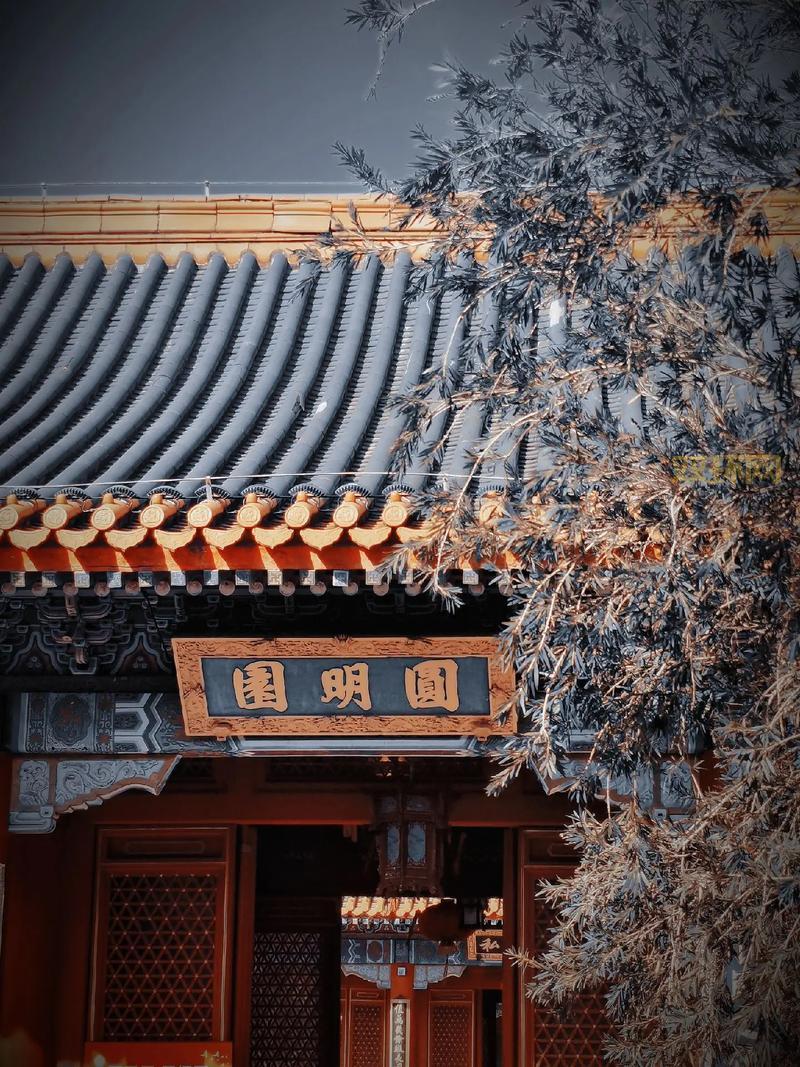 圆明园珍藏发布：揭秘“创世徽章”和“并蒂圆明”数字藏品