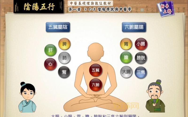 什么是五行八卦？深入了解古代哲学中的阴阳五行理论